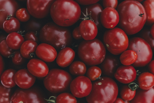 View of a collection of fresh ripe red tomatoes of various sizes arranged closely together in Laane County Estonia.