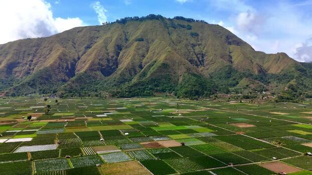 Aerial view of Bukit Selong and fields Indonesia.