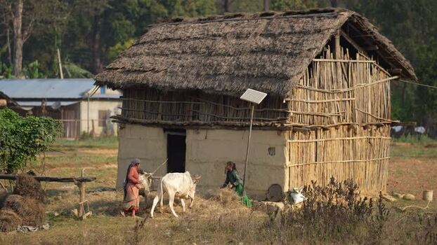 View of a traditional rural house and people with a cow Nepal. View of a traditional rural house and people with a cow Nepal.