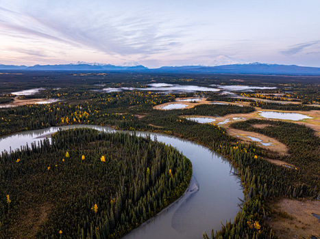 Aerial view of a meandering river flowing through a dense coniferous forest with autumn foliage and scattered wetlands near snow capped mountains in Slana Alaska United States. Aerial view of a meandering river flowing through a dense coniferous forest with autumn foliage and scattered wetlands near snow capped mountains in Slana Alaska United States.