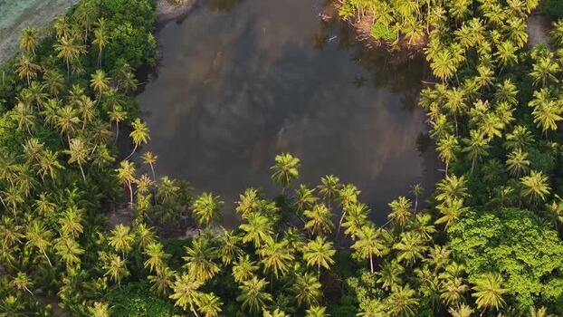Aerial view of a tropical lake surrounded by lush palm trees Maldives. Aerial view of a tropical lake surrounded by lush palm trees Maldives.