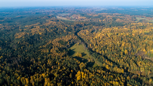 Aerial view of a dense forest landscape with vibrant autumn foliage and a small clearing in Latvia. Aerial view of a dense forest landscape with vibrant autumn foliage and a small clearing in Latvia.