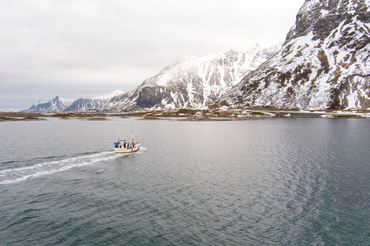 Aerial view of a small fishing boat navigating the calm waters of a fjord in Lofoten surrounded by snow capped mountains in Nordland Norway.