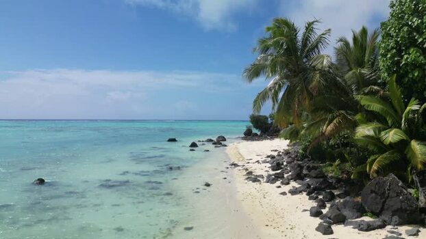 Aerial view of a tropical beach with palm trees in the Cook Islands. Aerial view of a tropical beach with palm trees in the Cook Islands.