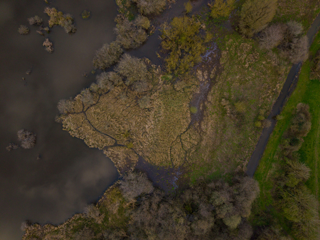 Aerial view of Doxey Marshes featuring intricate water channels marshland vegetation and surrounding trees in Stafford England United Kingdom. Aerial view of Doxey Marshes featuring intricate water channels marshland vegetation and surrounding trees in Stafford England United Kingdom.