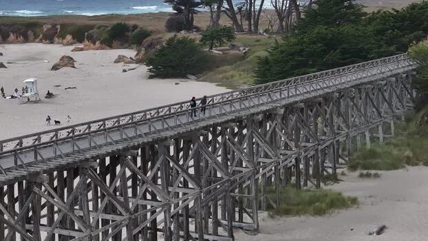 Aerial view of Pudding Creek Trestle bridge in United States.