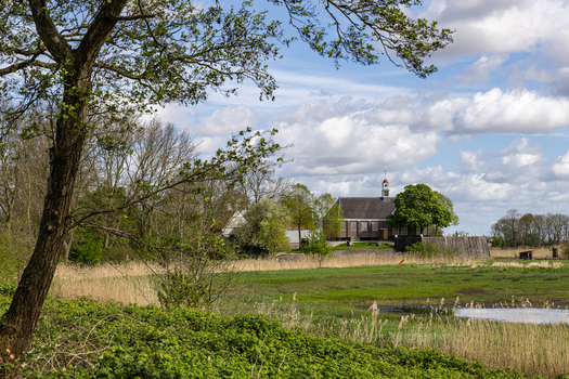 View of the historic church at Schokland surrounded by green meadows and lush trees under a cloudy sky in Schokland Flevoland Netherlands.