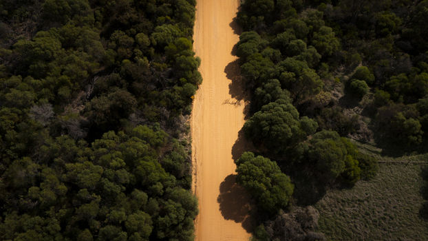 Aerial view of a dirt road cutting through dense green forest in Perth Western Australia Australia.