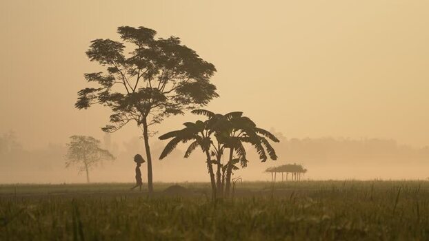 View of a person walking through a misty field at dawn Bangladesh.