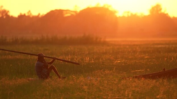 View of a farmer sitting in a field during sunset Bangladesh. View of a farmer sitting in a field during sunset Bangladesh.