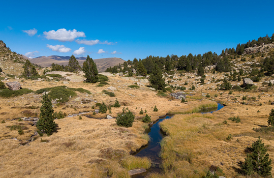 Aerial view of Llac de Pessons surrounded by alpine meadows scattered pine trees and rocky terrain under a clear blue sky in Grau Roig Encamp Andorra. Aerial view of Llac de Pessons surrounded by alpine meadows scattered pine trees and rocky terrain under a clear blue sky in Grau Roig Encamp Andorra.