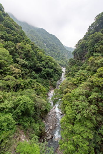 View of the Liwu River flowing through the lush green canyon of Taroko National Park in Xiulin Township Hualien County Taiwan.