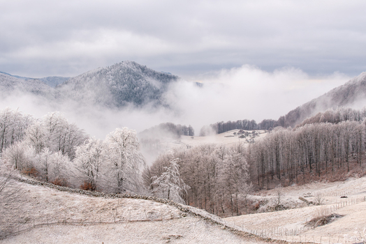 View of a snowy mountain landscape with frost covered trees rolling hills and low hanging clouds in Alba Iulia Alba County Romania. View of a snowy mountain landscape with frost covered trees rolling hills and low hanging clouds in Alba Iulia Alba County Romania.