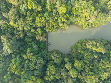 Aerial view of a dam nestled within a lush tropical forest in Bukit Mertajam Penang Malaysia. Aerial view of a dam nestled within a lush tropical forest in Bukit Mertajam Penang Malaysia.