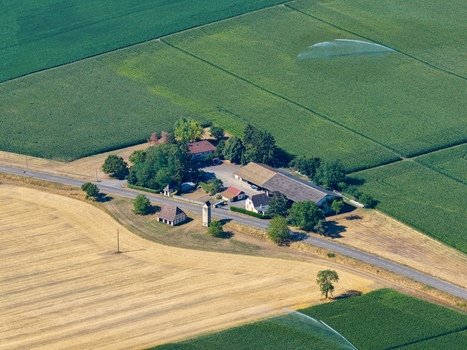 Aerial view of a farm complex surrounded by lush green fields and golden wheat crops in Hombourg Grand Est France. Aerial view of a farm complex surrounded by lush green fields and golden wheat crops in Hombourg Grand Est France.