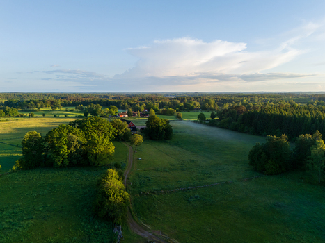Aerial view of lush green meadows and dense forests surrounding traditional red farmhouses under a soft evening sky in Gundrastorp Skane County Sweden. Aerial view of lush green meadows and dense forests surrounding traditional red farmhouses under a soft evening sky in Gundrastorp Skane County Sweden.