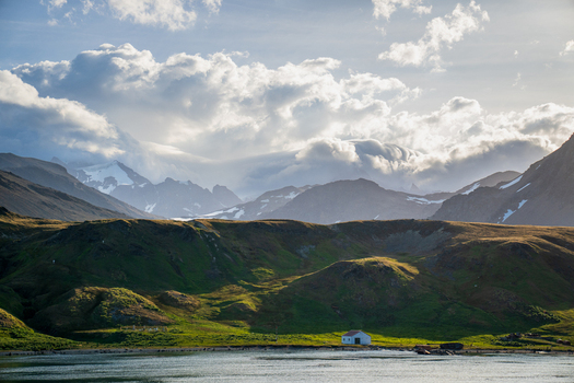 View of the historic settlement with its small white building nestled against dramatic snow capped mountains and rolling green hills in Grytviken South Georgia and the South Sandwich Islands. View of the historic settlement with its small white building nestled against dramatic snow capped mountains and rolling green hills in Grytviken South Georgia and the South Sandwich Islands.