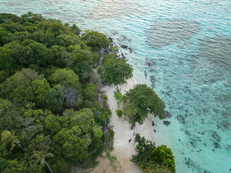 Aerial view of lush green trees contrasting with the turquoise sea at Tanjung Gelam Beach Karimunjawa Central Java Indonesia. Aerial view of lush green trees contrasting with the turquoise sea at Tanjung Gelam Beach Karimunjawa Central Java Indonesia.