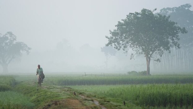 View of a man cycling through misty fields in Bogura Bangladesh