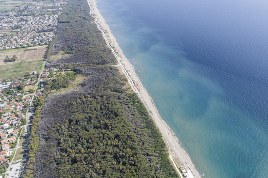 Aerial view of the sandy coastline and dense pine forest bordering the turquoise sea and residential area in Paestum Campania Italy.