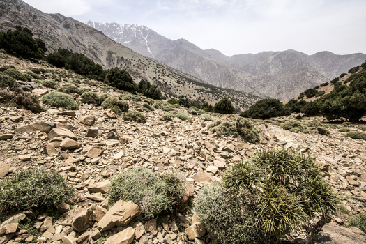 View of the rocky mountain landscape with sparse green shrubs and distant peaks in Tizi Oussem Marrakech Safi Morocco. View of the rocky mountain landscape with sparse green shrubs and distant peaks in Tizi Oussem Marrakech Safi Morocco.
