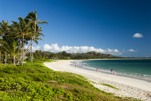 View of Kailua Beach with palm trees white sand turquoise water and people walking along the shore in Kailua Hawaii United States.