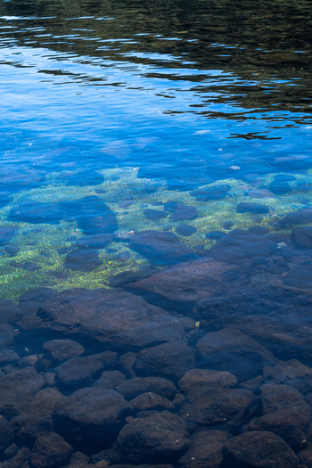 View of the clear blue water and submerged dark rocks of Lago Paimun in Huiliches Department Neuquen Province Argentina.