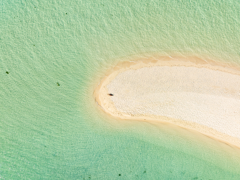 Aerial view of the white sand beach of Malcapuya Island surrounded by clear turquoise water in Coron Mimaropa Philippines. Aerial view of the white sand beach of Malcapuya Island surrounded by clear turquoise water in Coron Mimaropa Philippines.