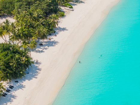 Aerial view of turquoise waters meeting the pristine white sand beach fringed by lush green palm trees Vashafaru Island Thiladhummathi Atoll Maldives.