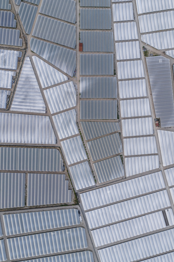 Aerial view of vast greenhouse complexes and agricultural polytunnels arranged in geometric patterns with narrow dirt paths Paestum Campania Italy.