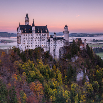 Aerial view of Neuschwanstein Castle perched on a rocky hill surrounded by dense autumn forests under a soft pink sunset sky in Germany. Aerial view of Neuschwanstein Castle perched on a rocky hill surrounded by dense autumn forests under a soft pink sunset sky in Germany.