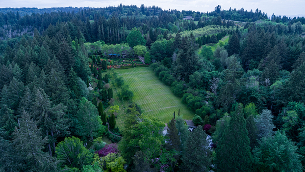 Aerial view of a manicured green lawn surrounded by dense evergreen forest and lush gardens near Northwest Skyline Boulevard Portland Oregon United States. Aerial view of a manicured green lawn surrounded by dense evergreen forest and lush gardens near Northwest Skyline Boulevard Portland Oregon United States.