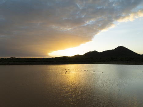 View of a tranquil lake at sunset with golden light reflecting on the water surface and silhouetted hills under a cloudy sky in Sololo Marsabit County Kenya.