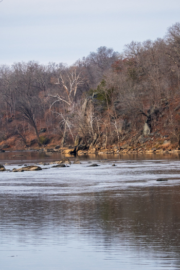 View of the calm river reflecting the bare trees and rocky shoreline under an overcast sky a serene scene in Scott s Run Virginia United States. View of the calm river reflecting the bare trees and rocky shoreline under an overcast sky a serene scene in Scott s Run Virginia United States.