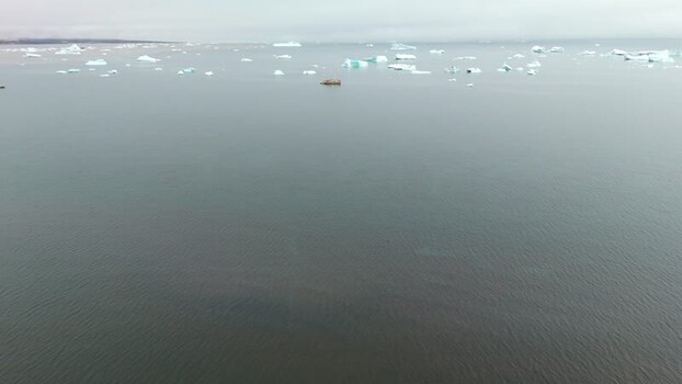 Aerial view of icebergs floating in the calm sea Greenland. Aerial view of icebergs floating in the calm sea Greenland.