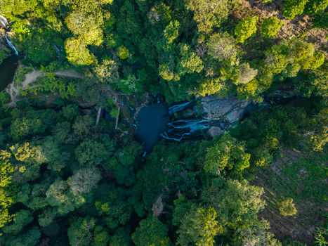 Aerial view of Banyumala Waterfall surrounded by lush tropical rainforest and dense green vegetation in Sukasada Bali Indonesia.