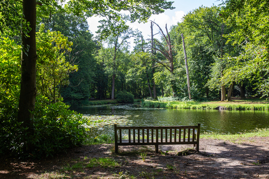 View of a wooden park bench overlooking a calm pond surrounded by lush green forest and tall trees at the Castle Groeneveld estate in Baarn Utrecht Netherlands.