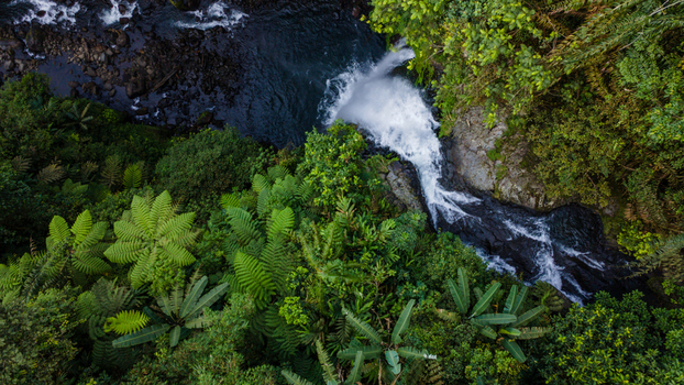Aerial view of Gomblang Waterfall cascading into a dark river surrounded by lush tropical jungle and ferns in Kecamatan Kedungbanteng Jawa Tengah Indonesia. Aerial view of Gomblang Waterfall cascading into a dark river surrounded by lush tropical jungle and ferns in Kecamatan Kedungbanteng Jawa Tengah Indonesia.