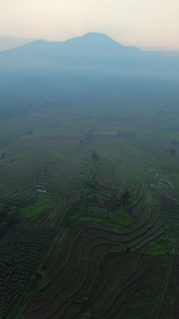 Aerial view of Kemumu rice terraces in Bengkulu Indonesia. Aerial view of Kemumu rice terraces in Bengkulu Indonesia.