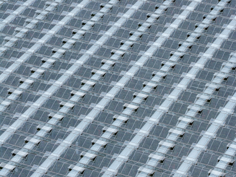 Aerial view of a large greenhouse farm with repeating glass panels and ventilation windows in Poland. Aerial view of a large greenhouse farm with repeating glass panels and ventilation windows in Poland.