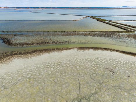 Aerial view of Lake Atanasovsko showing salt pans geometric water basins and textured circular patterns on the ground under a clear sky in Burgas Burgas Bulgaria. Aerial view of Lake Atanasovsko showing salt pans geometric water basins and textured circular patterns on the ground under a clear sky in Burgas Burgas Bulgaria.