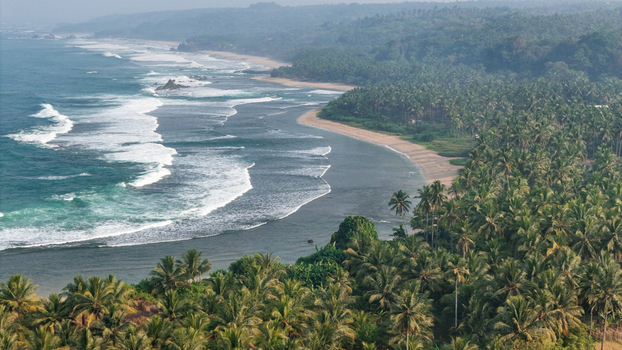 Aerial view of a tropical beach lined with lush palm trees and crashing ocean waves along the coastline in Indonesia. Aerial view of a tropical beach lined with lush palm trees and crashing ocean waves along the coastline in Indonesia.