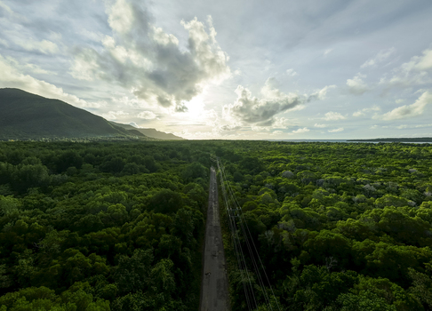 Aerial view of a road cuts through the lush verdant Karimunjawa Mangrove Forest under a sky dappled with clouds and sun Karimunjawa Central Java Indonesia.