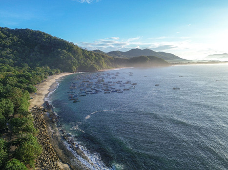 Aerial view of Papuma Beach with numerous fishing boats anchored in the calm bay surrounded by lush green hills and a sandy coastline in Jember East Java Indonesia. Aerial view of Papuma Beach with numerous fishing boats anchored in the calm bay surrounded by lush green hills and a sandy coastline in Jember East Java Indonesia.