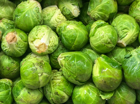 View of fresh green Brussels sprouts with tightly packed leaves and vibrant color in California City California United States. View of fresh green Brussels sprouts with tightly packed leaves and vibrant color in California City California United States.
