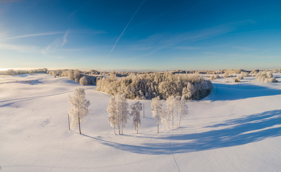 Aerial view of a snow covered landscape with frost covered trees under a clear blue sky in Latvia. Aerial view of a snow covered landscape with frost covered trees under a clear blue sky in Latvia.