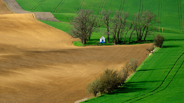 View of a small chapel nestled among trees in the rolling agricultural fields of the Moravian countryside in Brno City District South Moravian Region Czechia.