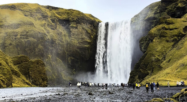 View of Skogafoss waterfall cascading over mossy cliffs with tourists walking on the dark volcanic sand beach below in Skogar Iceland.