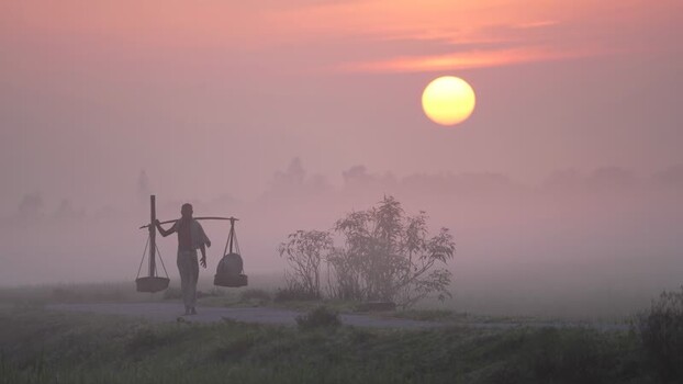 View of a man carrying a yoke at sunrise in Bogura Bangladesh. View of a man carrying a yoke at sunrise in Bogura Bangladesh.