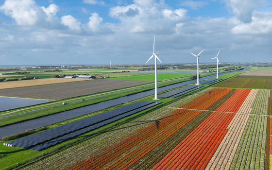 Aerial view of Burgervlotbrug Wind Farm featuring wind turbines solar panel arrays and vibrant flower fields under a blue sky in Burgerbrug North Holland Netherlands. Aerial view of Burgervlotbrug Wind Farm featuring wind turbines solar panel arrays and vibrant flower fields under a blue sky in Burgerbrug North Holland Netherlands.